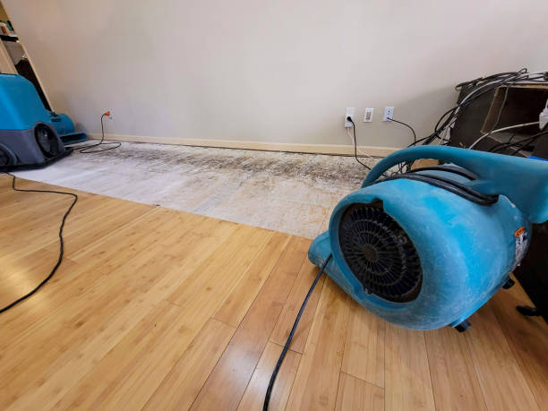 Professional Ceiling Water Damage Repair technician working in Syria, VA